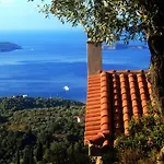 Zaki-1 Premium Villa