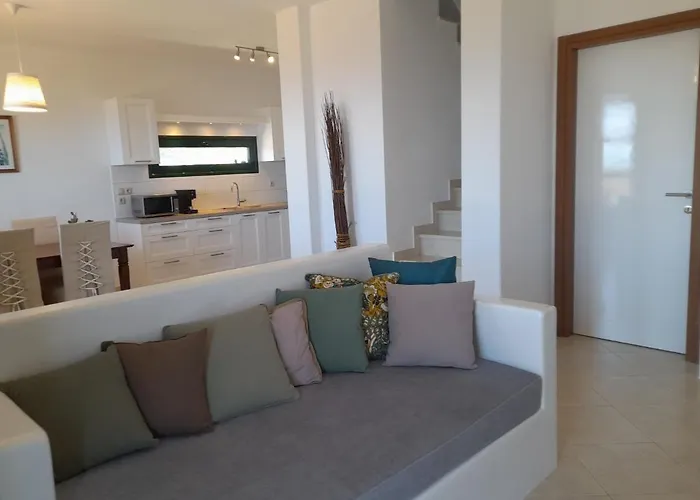 Zaki-1 Premium Moni Evaggelistrias